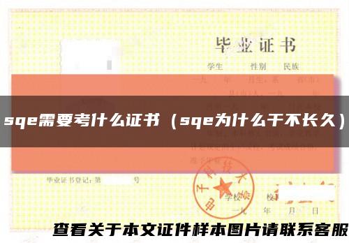 sqe需要考什么证书（sqe为什么干不长久）缩略图