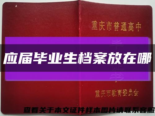 应届毕业生档案放在哪缩略图