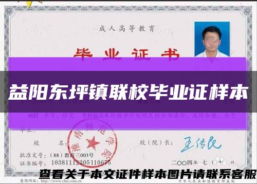 益阳东坪镇联校毕业证样本缩略图