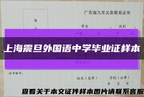 上海震旦外国语中学毕业证样本缩略图