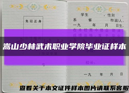 嵩山少林武术职业学院毕业证样本缩略图