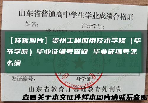 【样板图片】贵州工程应用技术学院（毕节学院）毕业证编号查询 毕业证编号怎么编缩略图