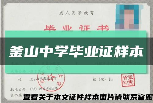 釜山中学毕业证样本缩略图