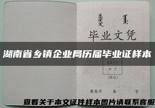 湖南省乡镇企业局历届毕业证样本缩略图