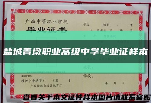 盐城青墩职业高级中学毕业证样本缩略图