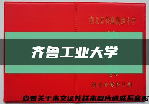 齐鲁工业大学缩略图