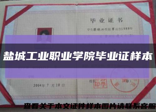 盐城工业职业学院毕业证样本缩略图