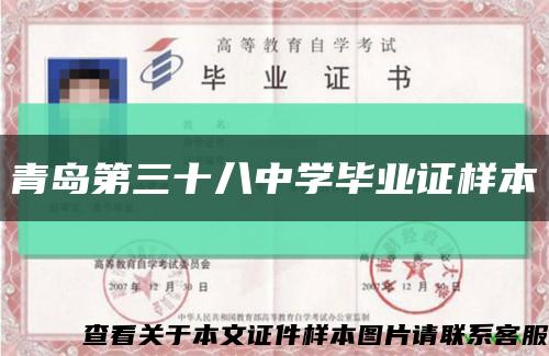 青岛第三十八中学毕业证样本缩略图