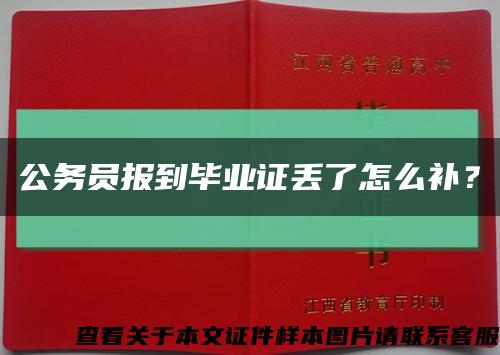 公务员报到毕业证丢了怎么补？缩略图