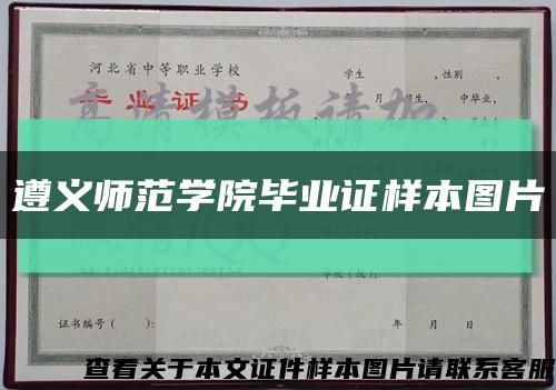 遵义师范学院毕业证样本图片缩略图
