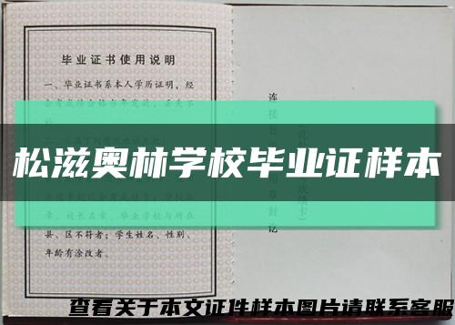 松滋奥林学校毕业证样本缩略图