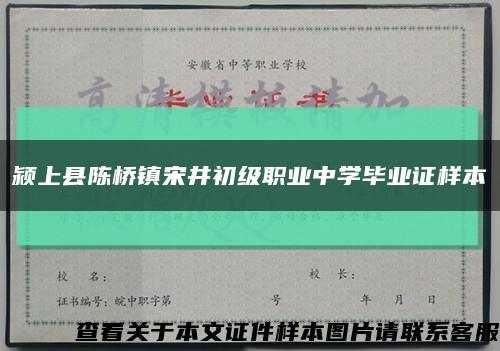 颍上县陈桥镇宋井初级职业中学毕业证样本缩略图