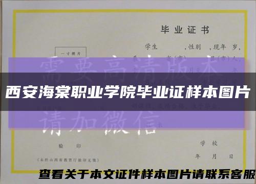 西安海棠职业学院毕业证样本图片缩略图