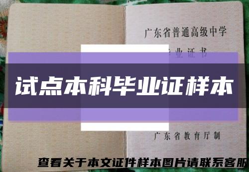 试点本科毕业证样本缩略图