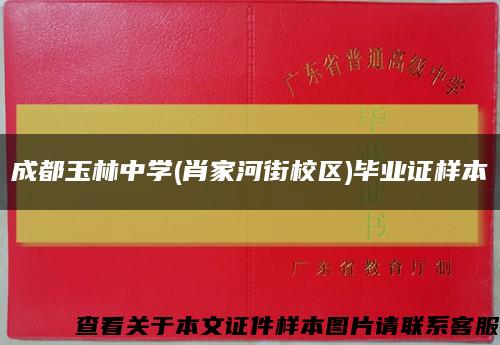 成都玉林中学(肖家河街校区)毕业证样本缩略图