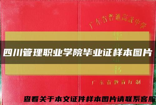 四川管理职业学院毕业证样本图片缩略图