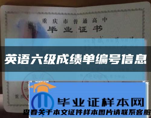 英语六级成绩单编号信息缩略图