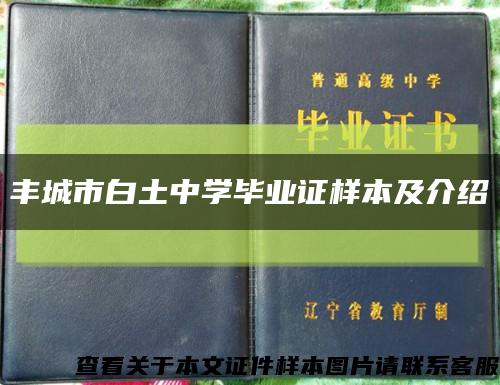 丰城市白土中学毕业证样本及介绍缩略图