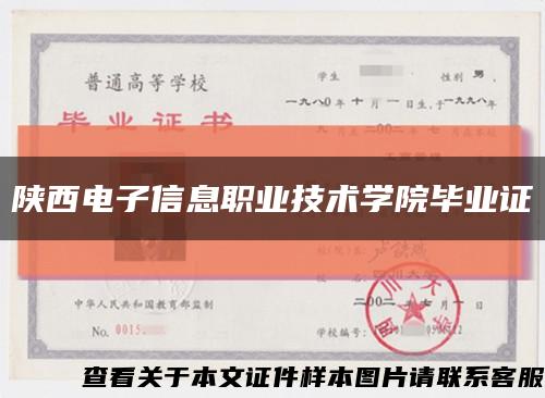 陕西电子信息职业技术学院毕业证缩略图
