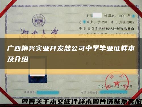广西柳兴实业开发总公司中学毕业证样本及介绍缩略图