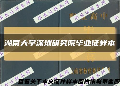 湖南大学深圳研究院毕业证样本缩略图