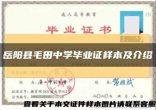 岳阳县毛田中学毕业证样本及介绍缩略图