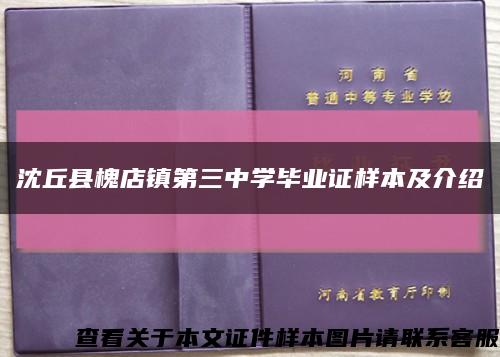 沈丘县槐店镇第三中学毕业证样本及介绍缩略图