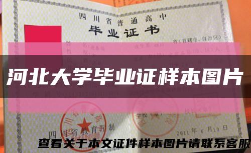 河北大学毕业证样本图片缩略图