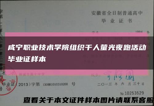 咸宁职业技术学院组织千人萤光夜跑活动毕业证样本缩略图