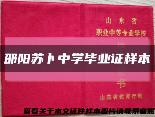 邵阳苏卜中学毕业证样本缩略图