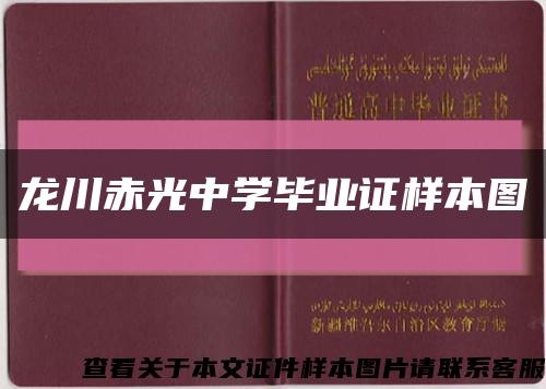 龙川赤光中学毕业证样本图缩略图