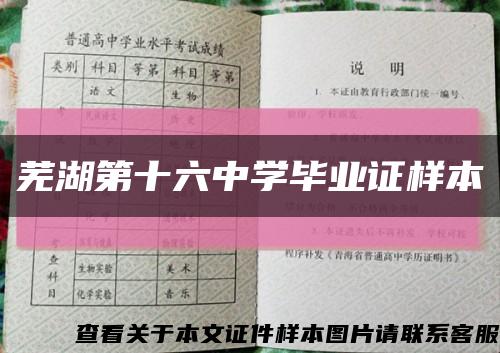 芜湖第十六中学毕业证样本缩略图