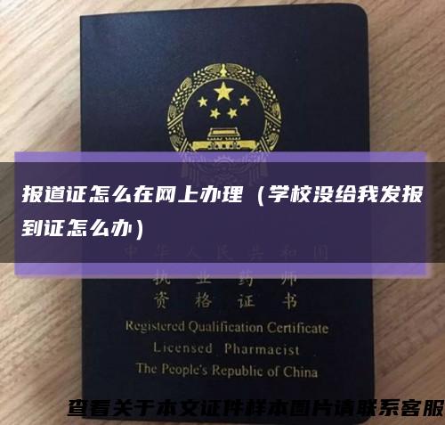 报道证怎么在网上办理（学校没给我发报到证怎么办）缩略图