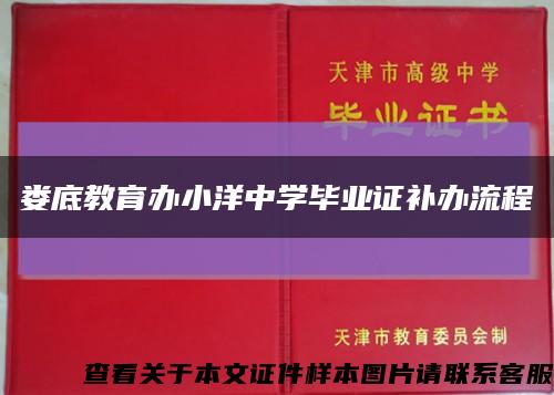 娄底教育办小洋中学毕业证补办流程缩略图