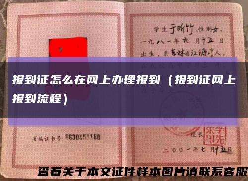 报到证怎么在网上办理报到（报到证网上报到流程）缩略图