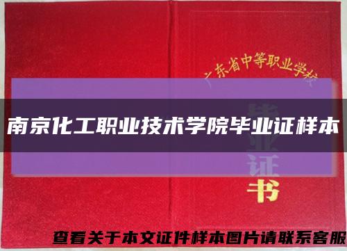 南京化工职业技术学院毕业证样本缩略图
