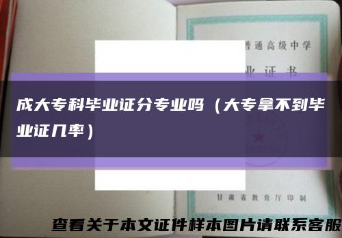 成大专科毕业证分专业吗（大专拿不到毕业证几率）缩略图