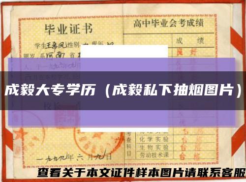 成毅大专学历（成毅私下抽烟图片）缩略图