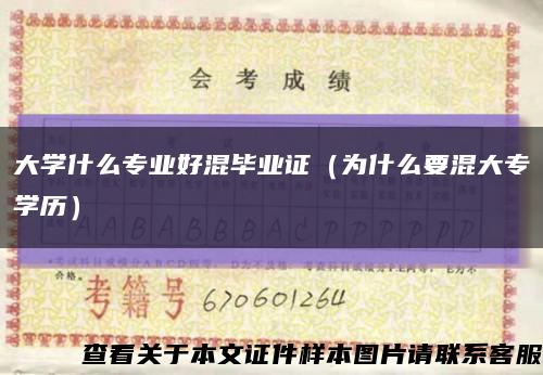 大学什么专业好混毕业证（为什么要混大专学历）缩略图