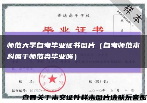 师范大学自考毕业证书图片（自考师范本科属于师范类毕业吗）缩略图