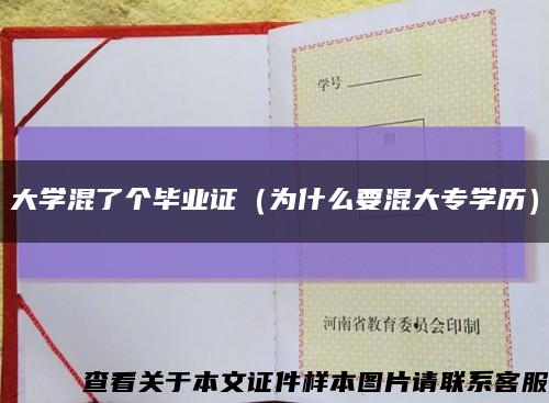 大学混了个毕业证（为什么要混大专学历）缩略图