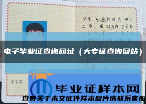 电子毕业证查询网址（大专证查询网站）缩略图