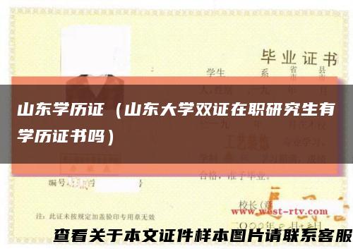 山东学历证（山东大学双证在职研究生有学历证书吗）缩略图