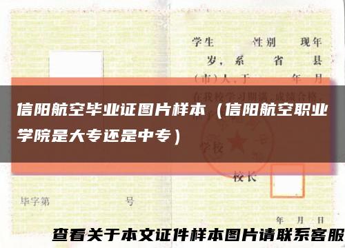 信阳航空毕业证图片样本（信阳航空职业学院是大专还是中专）缩略图