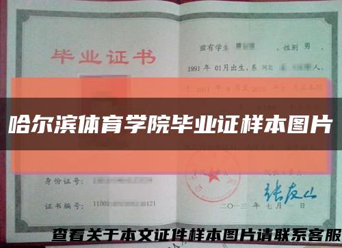 哈尔滨体育学院毕业证样本图片缩略图