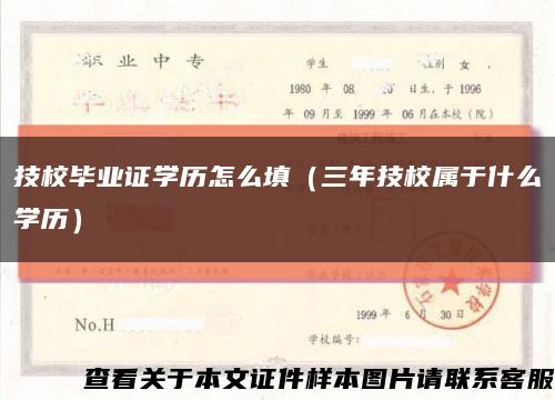 技校毕业证学历怎么填（三年技校属于什么学历）缩略图