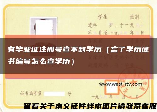 有毕业证注册号查不到学历（忘了学历证书编号怎么查学历）缩略图
