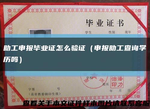 助工申报毕业证怎么验证（申报助工查询学历吗）缩略图