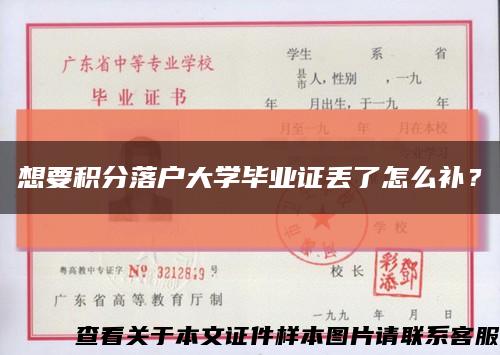 想要积分落户大学毕业证丢了怎么补？缩略图