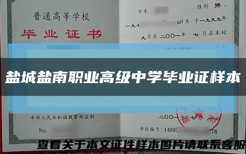 盐城盐南职业高级中学毕业证样本缩略图